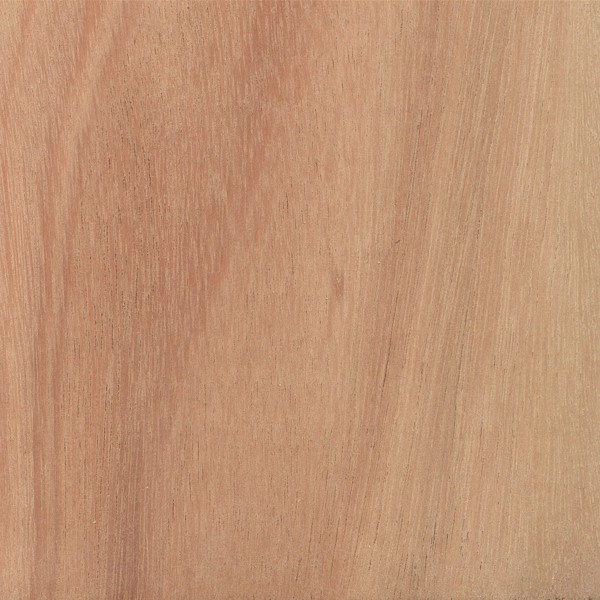 Close-up of eucalyptus wood grain from Portuguese managed forestry