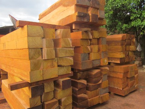 Export-grade sawn timber log ready for wholesale shipment from Portugal