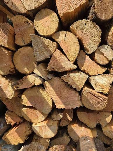 Oak and beech firewood cut and split for wholesale export from Portugal