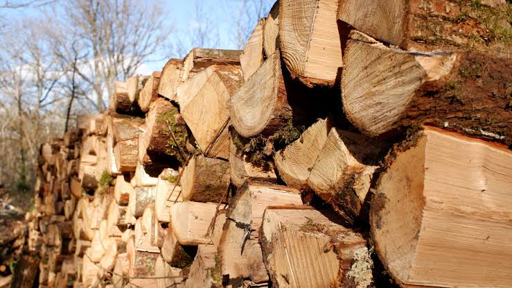 Stacked seasoned firewood logs ready for wholesale export from Portugal