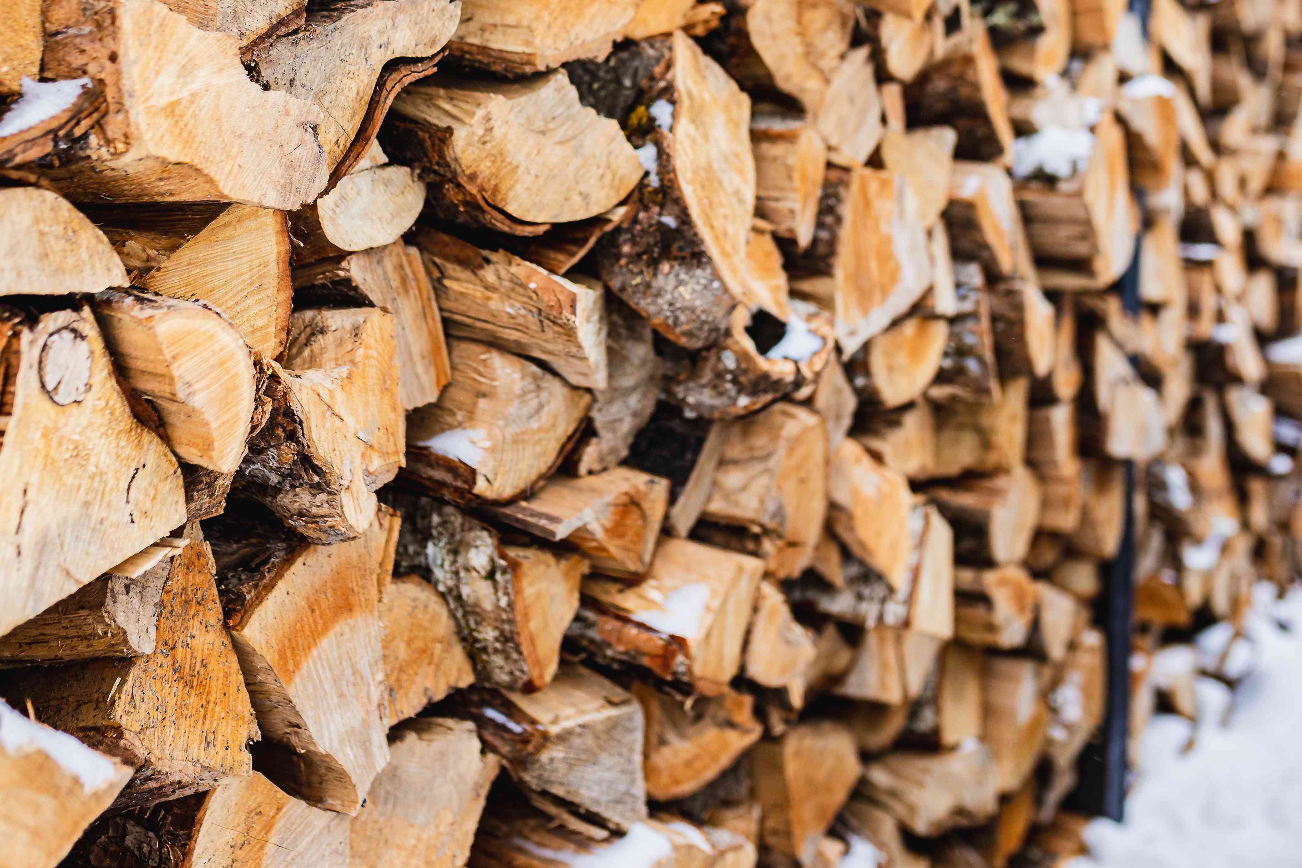Portuguese pine forest and timber landscape featured on the J P Vieira de Andrade blog