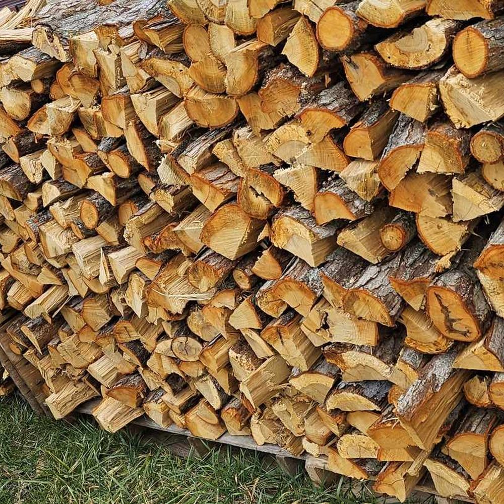 Seasoned hardwood firewood logs stacked at a Portuguese timber yard