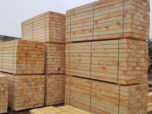 Managed Portuguese forestry illustrating sustainable timber sourcing practices