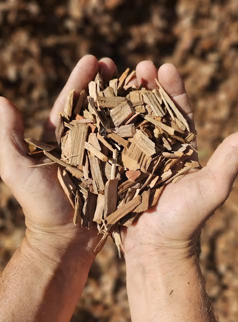Handful of quality-checked wood chips from a Portuguese wholesale supplier