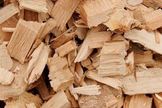 Pile of graded wood chips ready for wholesale biomass supply from Portugal