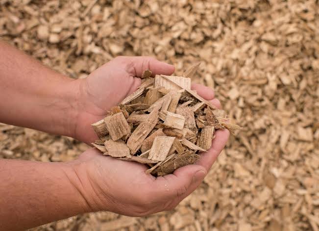 Wood chip texture and particle size graded for export from Portugal